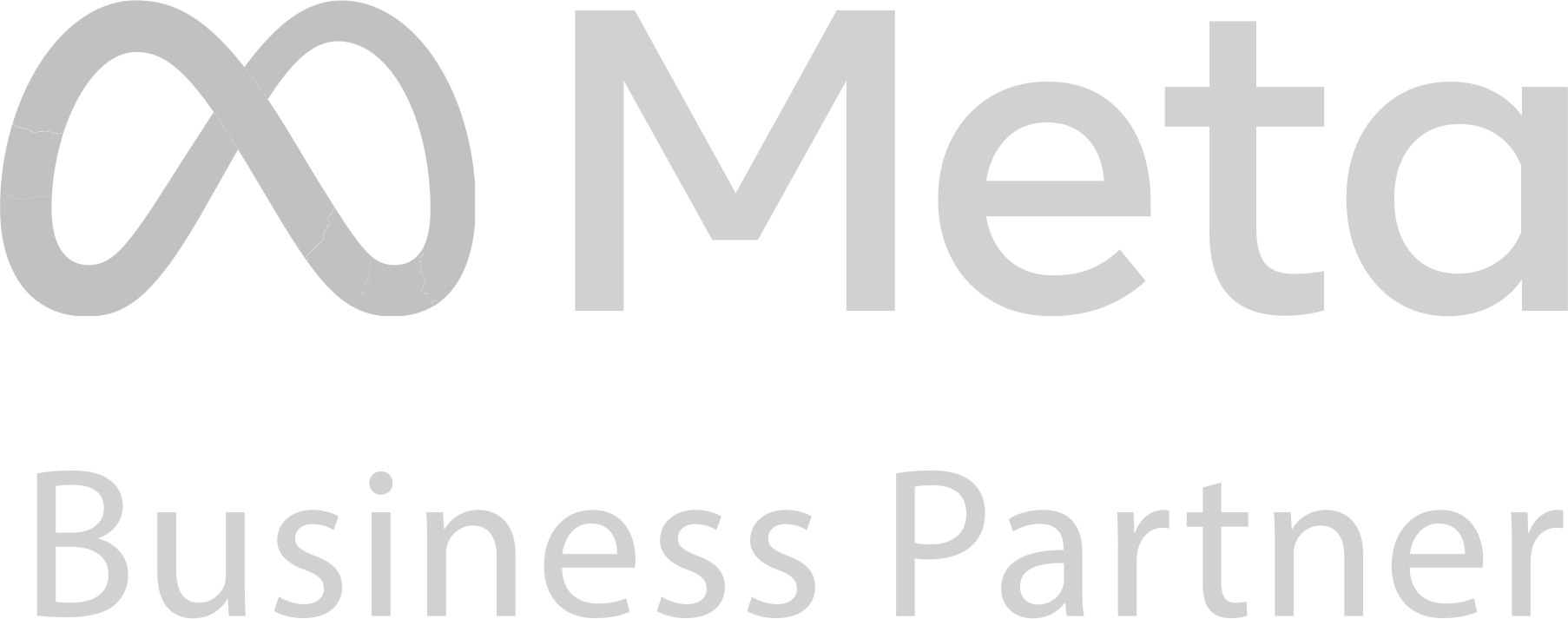 Meta Business Partner